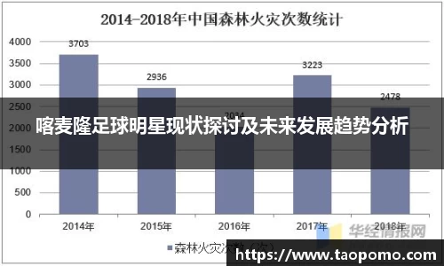 喀麦隆足球明星现状探讨及未来发展趋势分析